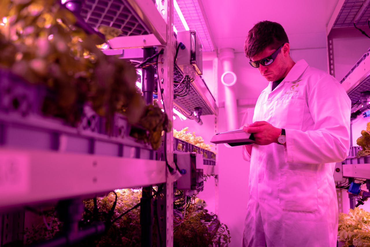 why-choose-us Scientist in lab coat examining plants in a high-tech indoor farming setup with ultraviolet lighting.